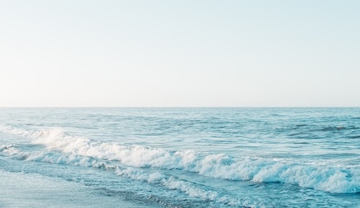 成田空港T1で『ターキッシュエアラインズラウンジ』を利用した〜